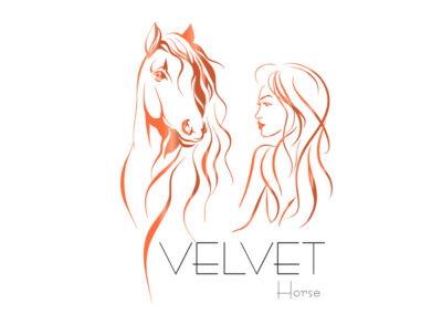 Logo Erstellung Velvet Horse
